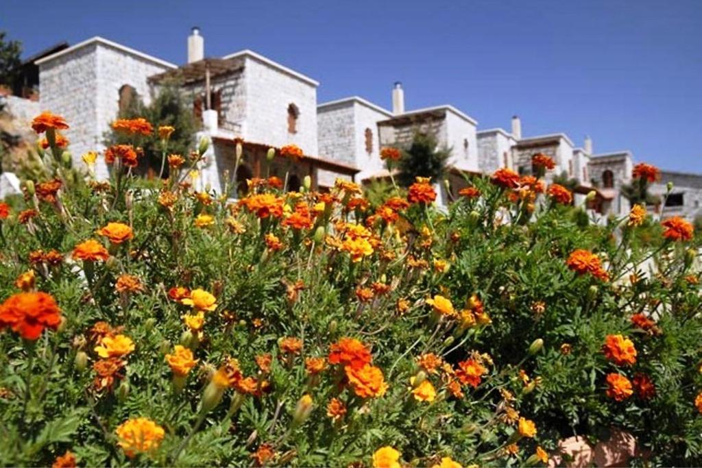 Lefkoritis Resort Askifou Sfakia Petres  Exterior photo
